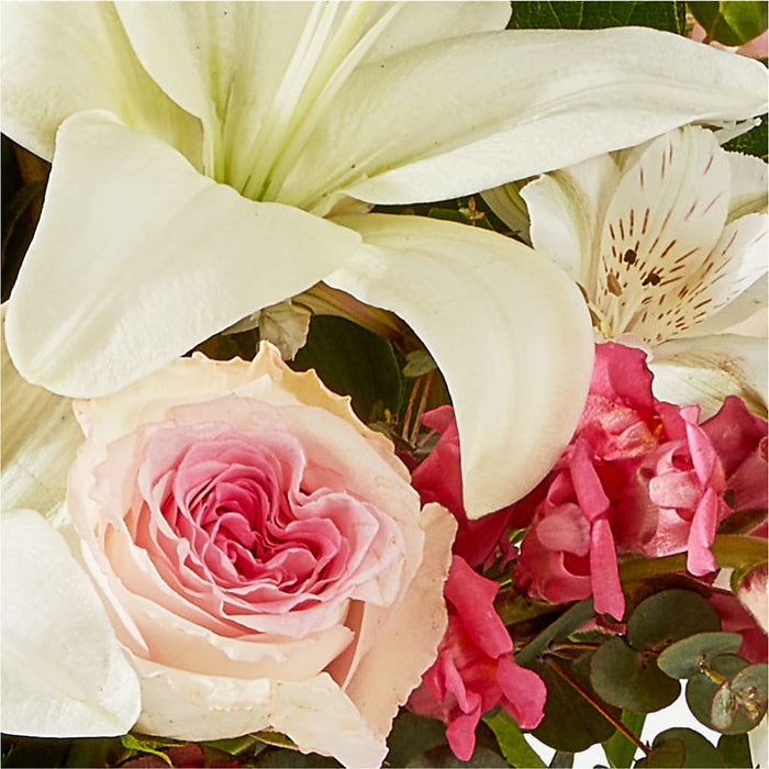 Ballet Slippers Bouquet – PANDA FLOWERS CANADA INC, Calgary AB
