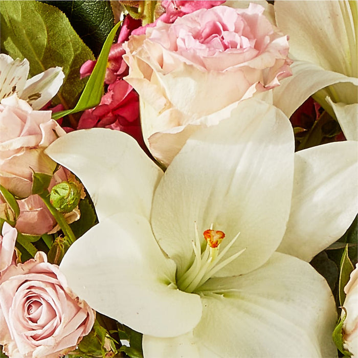 Ballet Slippers Bouquet – PANDA FLOWERS CANADA INC, Calgary AB