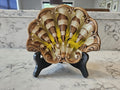 BCM Belgo Canadian - Clam Pattern with Glaze - Trinket Dish