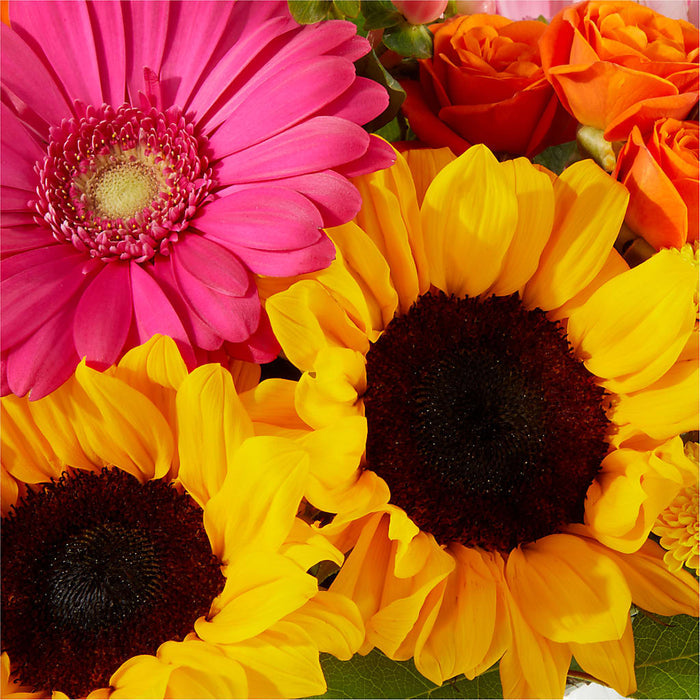 Beach Day Bouquet – PANDA FLOWERS CANADA INC, Calgary AB