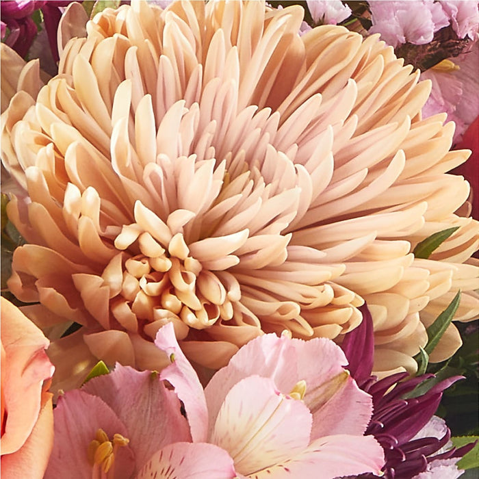 Berry Cobbler Bouquet – PANDA FLOWERS CANADA INC, Calgary AB