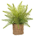 Allstate Boston Fern In Basket 15" - Artificial Non-Flowering Plants Silk