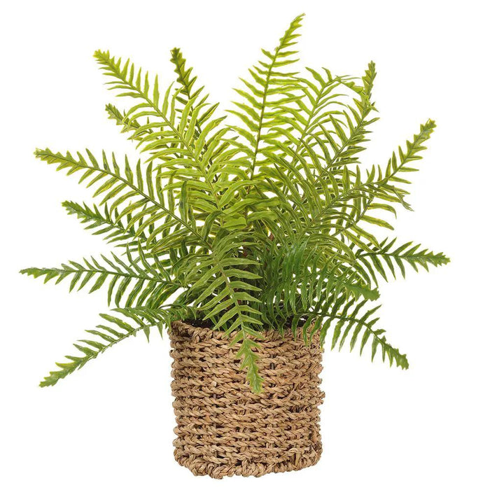 Allstate Boston Fern In Basket 15" - Artificial Non-Flowering Plants Silk