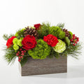Bundled Up Bouquet – PANDA FLOWERS CANADA INC, Calgary AB