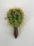 Supreme Cactus Pick 8.5" - Uncategorized Silk