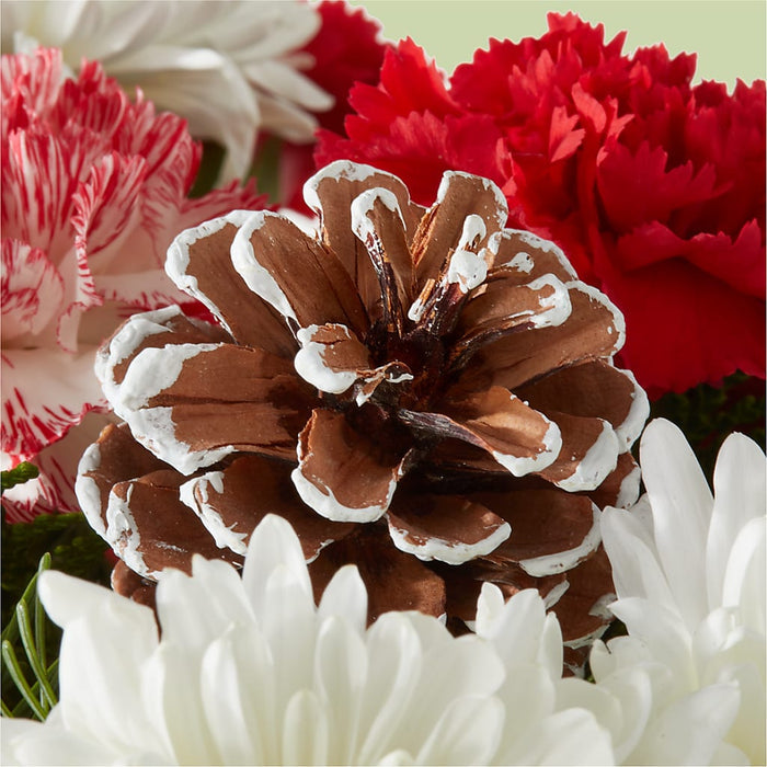 Candy Cane Lane Bouquet – PANDA FLOWERS CANADA INC, Calgary AB
