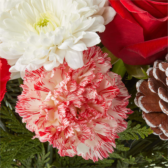 Candy Cane Lane Bouquet – PANDA FLOWERS CANADA INC, Calgary AB