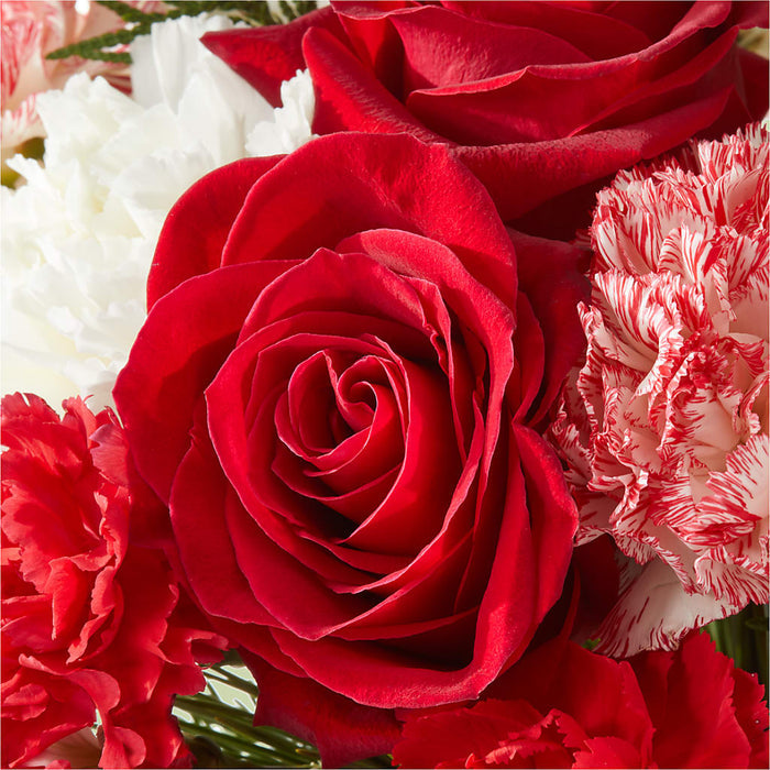 Candy Cane Lane Bouquet – PANDA FLOWERS CANADA INC, Calgary AB
