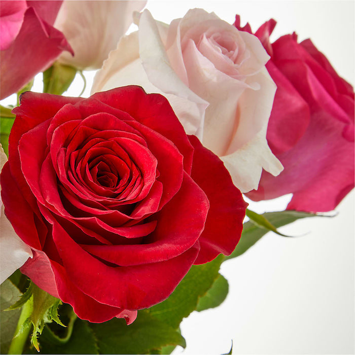 Charming Rose Bouquet – PANDA FLOWERS CANADA INC, Calgary AB