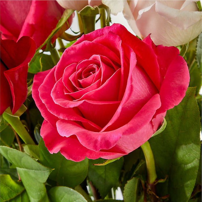 Charming Rose Bouquet – PANDA FLOWERS CANADA INC, Calgary AB