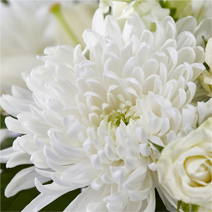Classic Ivory – A Florist Original – PANDA FLOWERS CANADA INC, Calgary AB