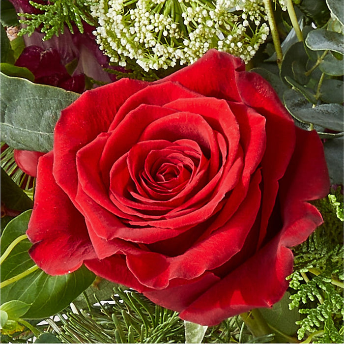 Cranberry Fizz Bouquet – PANDA FLOWERS CANADA INC, Calgary AB