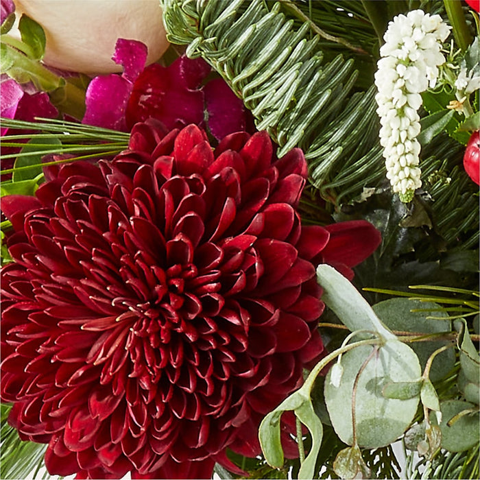 Cranberry Fizz Bouquet – PANDA FLOWERS CANADA INC, Calgary AB