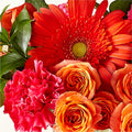 Florist Designed Mixed Bouquet – PANDA FLOWERS CANADA INC, Calgary AB