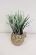 Supreme Grass w/ Pot 12" - Artificial Non-Flowering Plants Silk