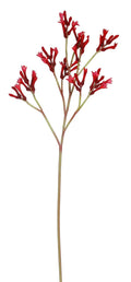 Winward Kangaroo Paw Spray Red - Artificial Flowering Plants Silk