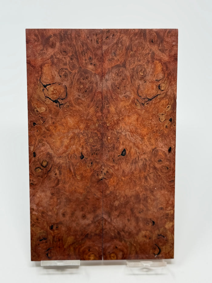 KS-034: Knife Scales - Red Dyed Stabilized Maple Burl