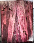 KS-076: Knife Scales - Red Dyed Stabilized Quartersawn Spalted Sycamore
