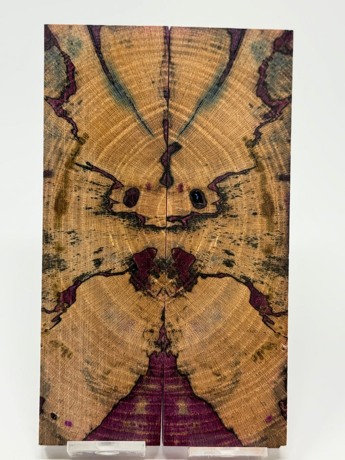 KS-116: Knife Scales - Pink Dyed Stabilized Cross Cut Spalted Maple