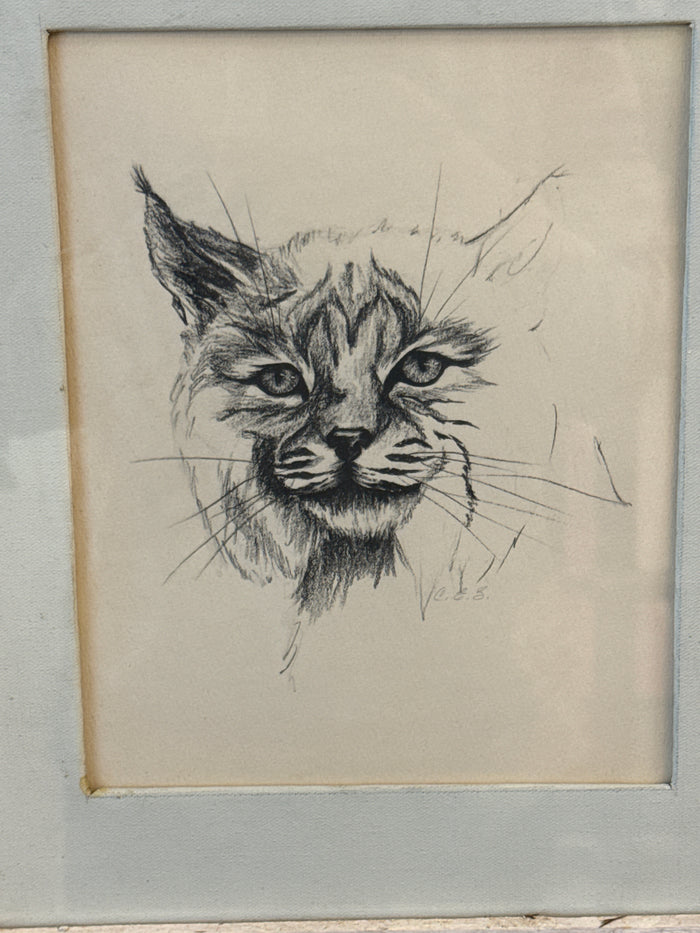Large Rustic Cat Sketch Art, Wooden Frame on canvas