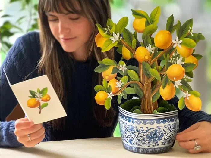 FreshCut Paper LLC Lemon Blossom Tree Pop-Up Greeting Card - Greeting Cards Merchandise
