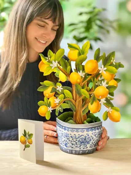 FreshCut Paper LLC Lemon Blossom Tree Pop-Up Greeting Card - Greeting Cards Merchandise