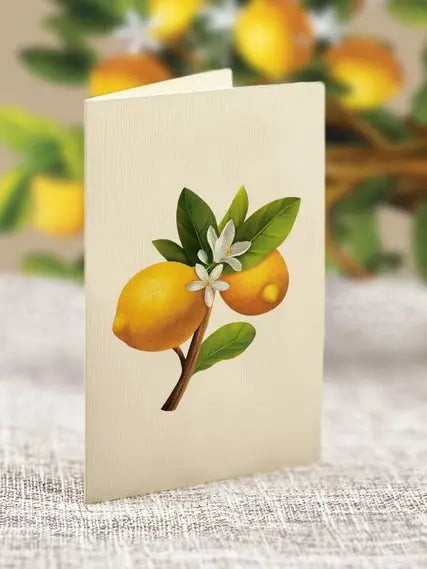 FreshCut Paper LLC Lemon Blossom Tree Pop-Up Greeting Card - Greeting Cards Merchandise