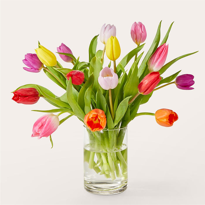 Let's Talk Tulips Bouquet – PANDA FLOWERS CANADA INC, Calgary AB