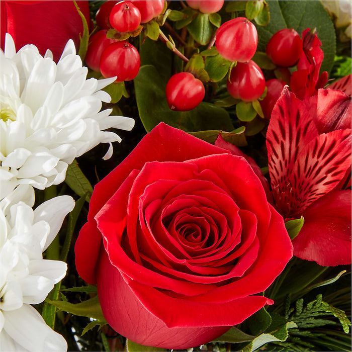 Letters to Santa Bouquet – PANDA FLOWERS CANADA INC, Calgary AB
