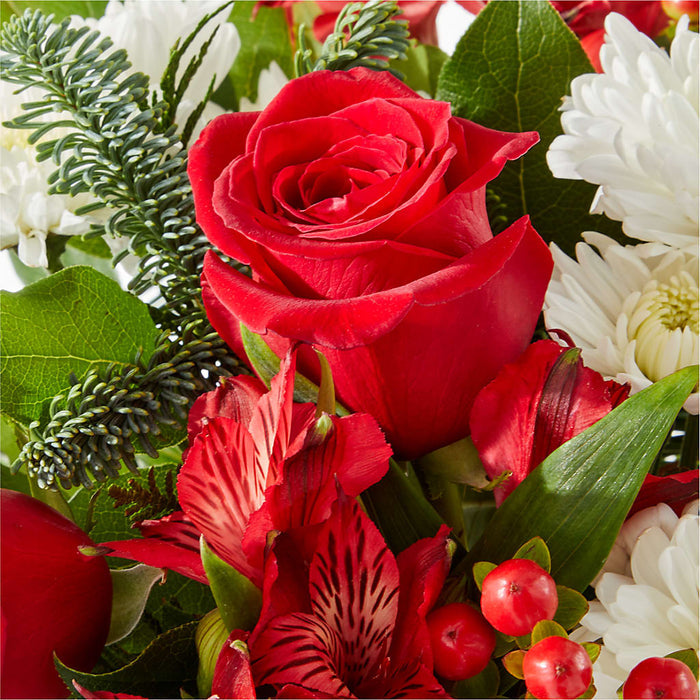 Letters to Santa Bouquet – PANDA FLOWERS CANADA INC, Calgary AB