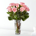 Long Stem Pink Rose Bouquet – PANDA FLOWERS CANADA INC, Calgary AB