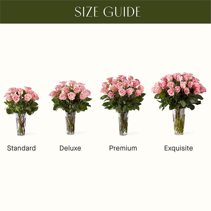Long Stem Pink Rose Bouquet – PANDA FLOWERS CANADA INC, Calgary AB