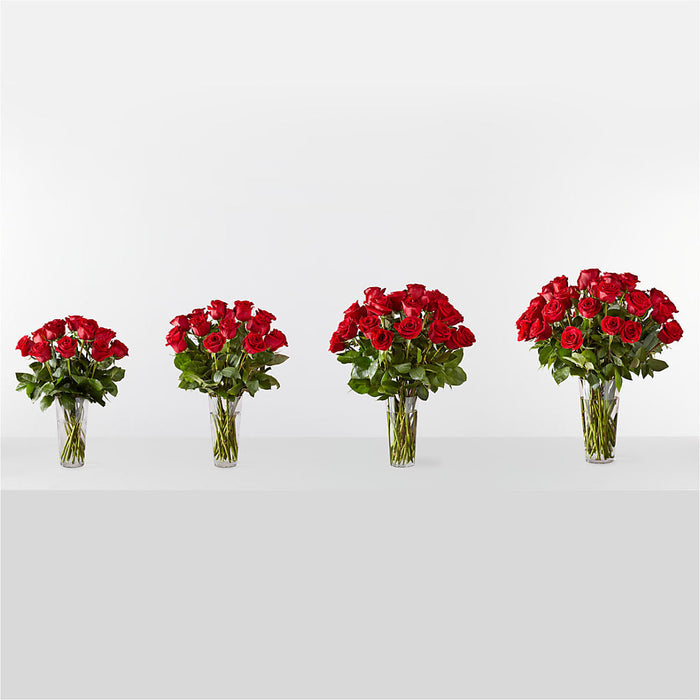 Long Stem Red Rose Bouquet – PANDA FLOWERS CANADA INC, Calgary AB