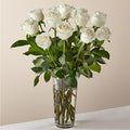Long Stem White Rose Bouquet – PANDA FLOWERS CANADA INC, Calgary AB