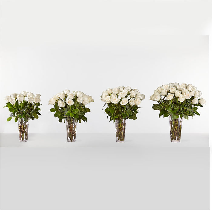 Long Stem White Rose Bouquet – PANDA FLOWERS CANADA INC, Calgary AB
