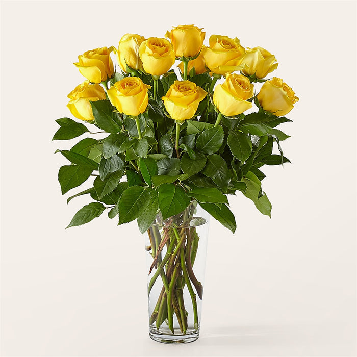 Long Stem Yellow Rose Bouquet – PANDA FLOWERS CANADA INC, Calgary AB