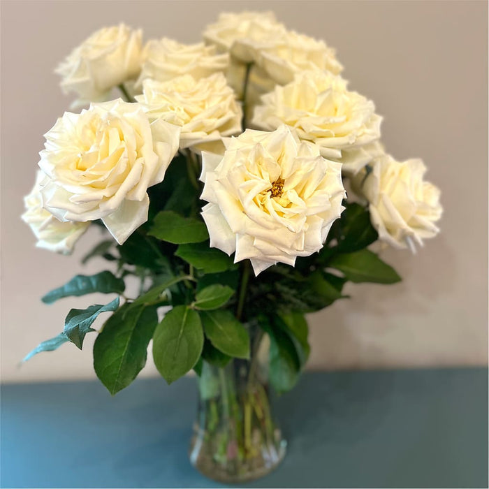 Long Stem Yellow Rose Bouquet – PANDA FLOWERS CANADA INC, Calgary AB