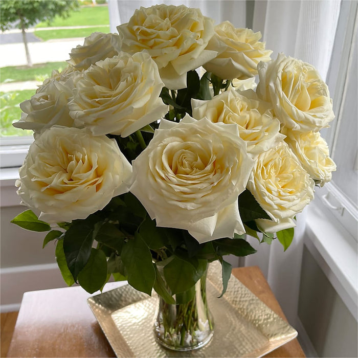 Long Stem Yellow Rose Bouquet – PANDA FLOWERS CANADA INC, Calgary AB