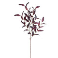 Mangrove Leaf Spray Burgundy 39"