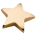 Gold Metal Star Paperweight