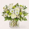 Momentary Meditation Bouquet – PANDA FLOWERS CANADA INC, Calgary AB