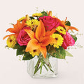 Neon Lights Bouquet – PANDA FLOWERS CANADA INC, Calgary AB