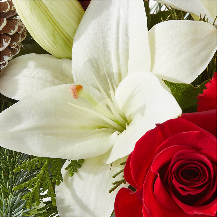 Oh So Jolly Bouquet – PANDA FLOWERS CANADA INC, Calgary AB