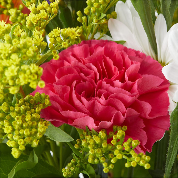 Oopsie Daisy Bouquet – PANDA FLOWERS CANADA INC, Calgary AB