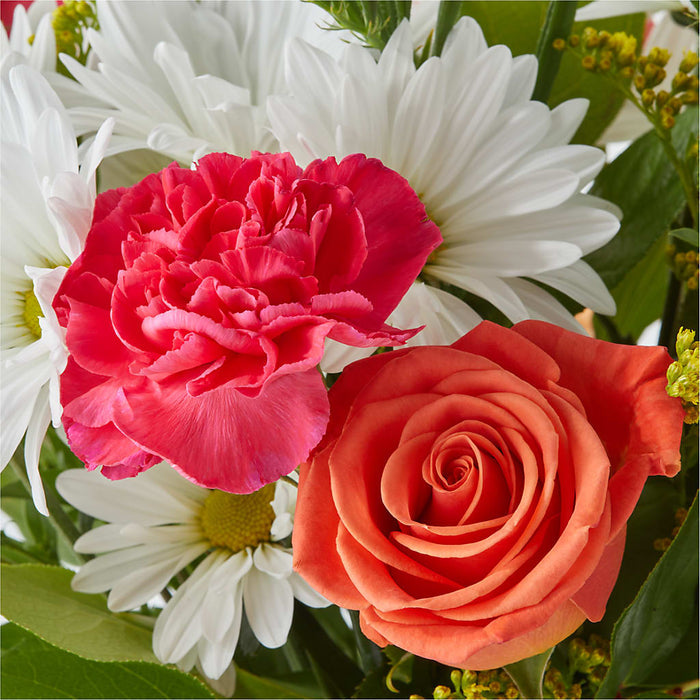 Oopsie Daisy Bouquet – PANDA FLOWERS CANADA INC, Calgary AB