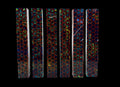 PBBrick-081: Pen Blanks - Blue Yellow with Red 3D Printed Honeycomb Alumilite Resin Casting Diamond Painting Pen