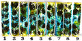 PBBrick-112: Glacier Forest Swirl Pinecone Yellow Blue White Mini Pine Cones Hybrid Pen Blank Diamond Painting Alumilite Resin Casting