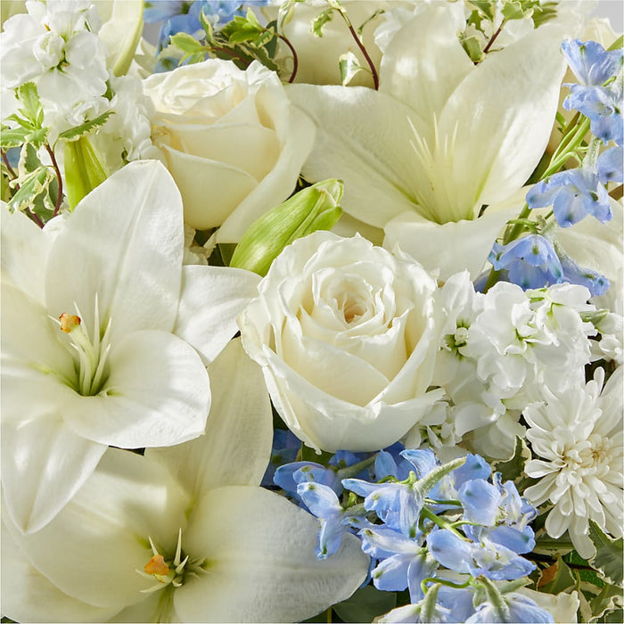 Peace of Mind Bouquet – PANDA FLOWERS CANADA INC, Calgary AB