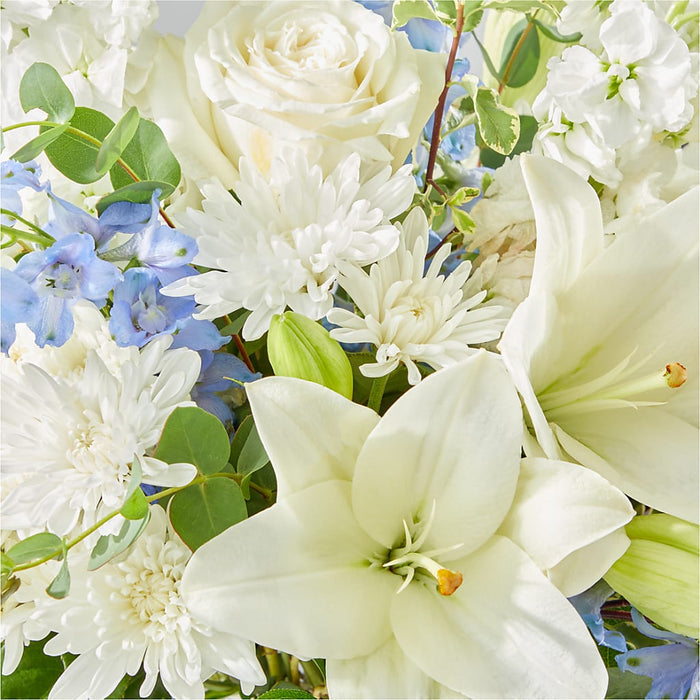 Peace of Mind Bouquet – PANDA FLOWERS CANADA INC, Calgary AB