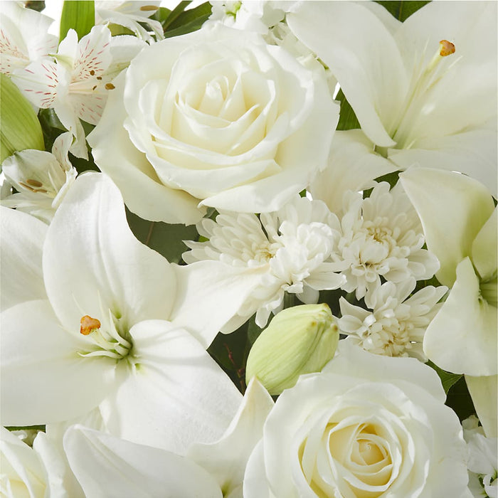 Peaceful Reflections Arrangement – PANDA FLOWERS CANADA INC, Calgary AB